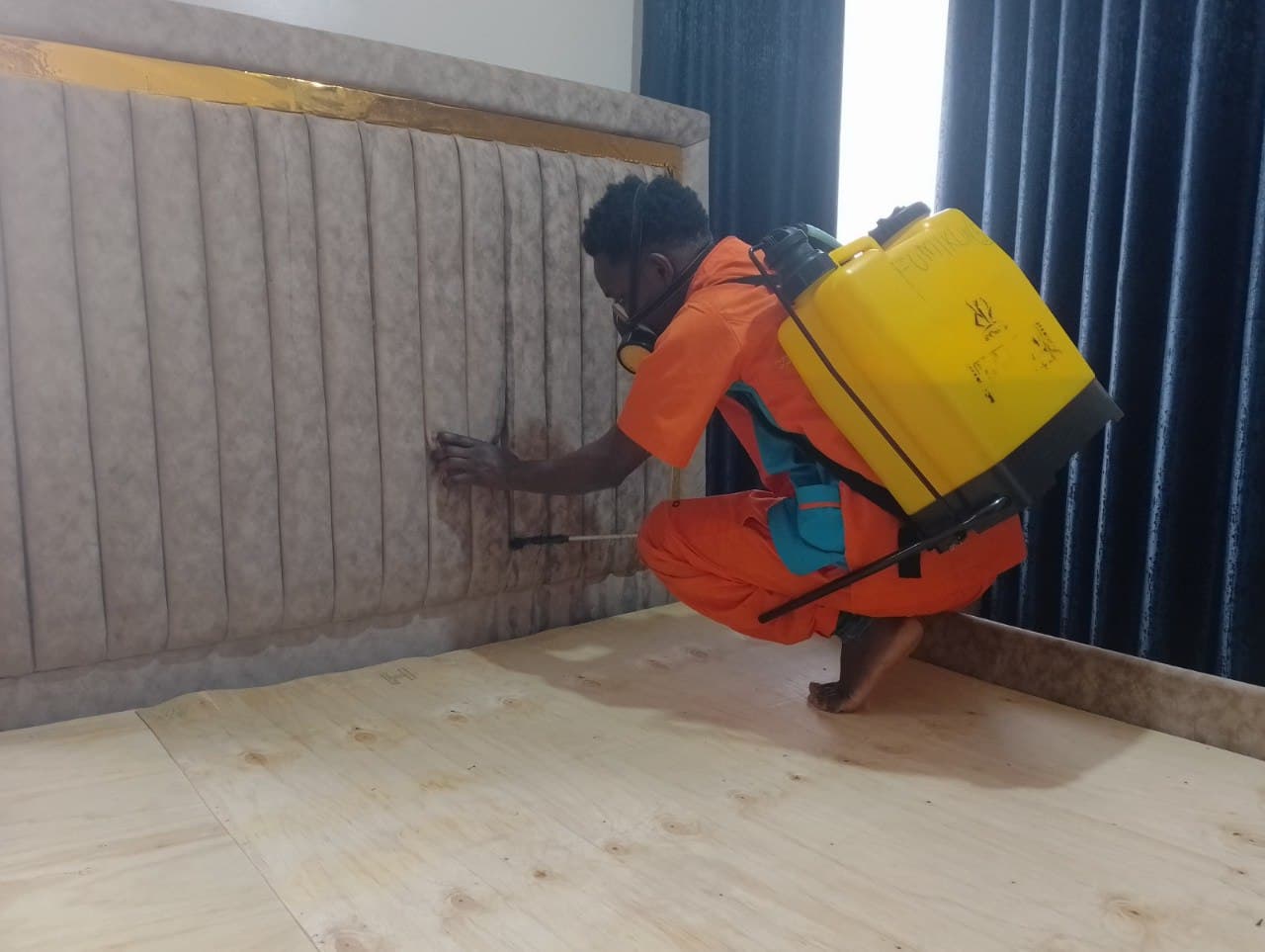 Fleas Control benefits image